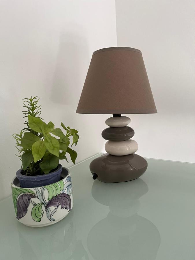 Beautiful Apartment With Terrace Centre Nice ニース エクステリア 写真